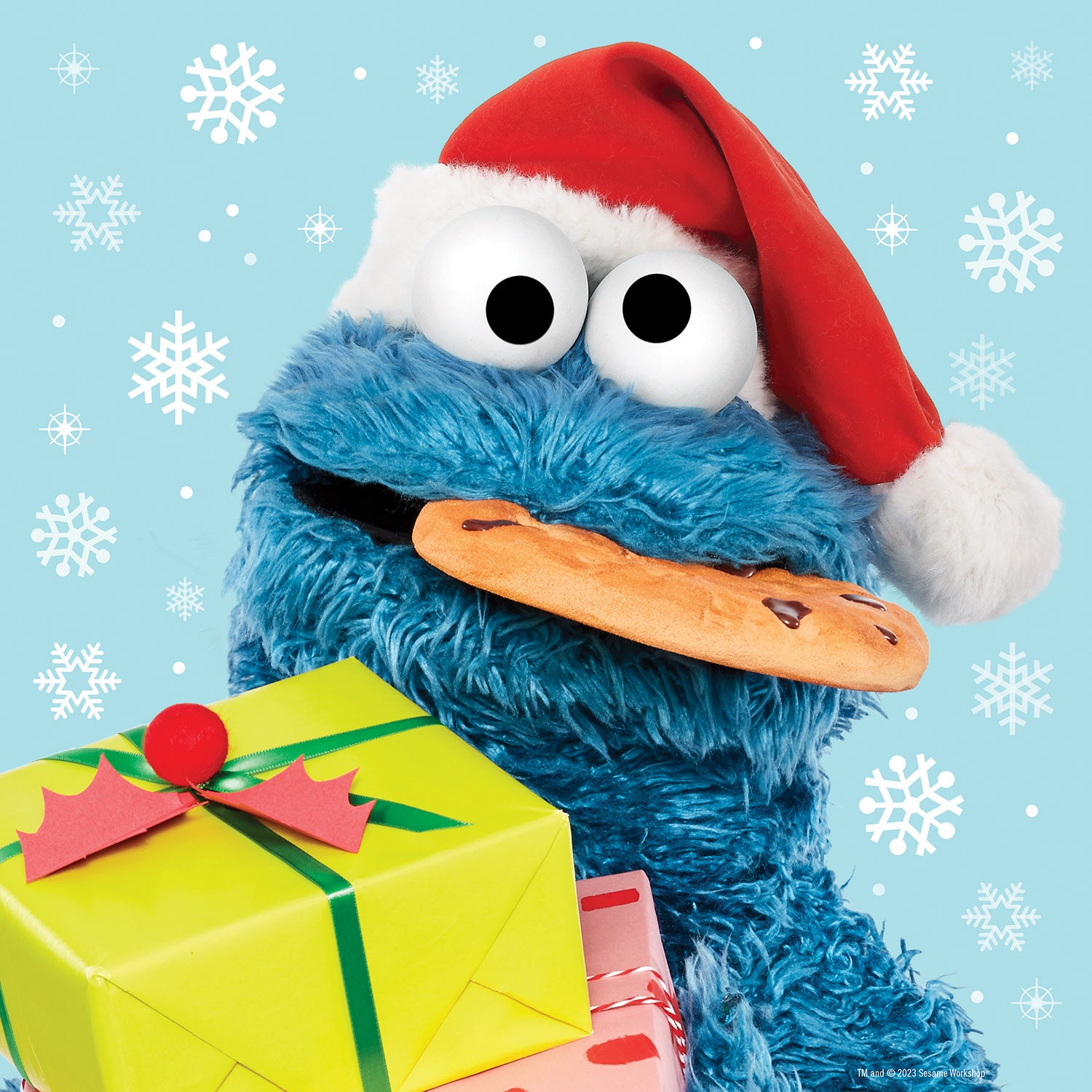 Sesame Street - Christmas - Cookie Monster 25 Piece Square Puzzle