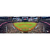 Arizona Diamondbacks MLB 1000pc Panoramic Puzzle