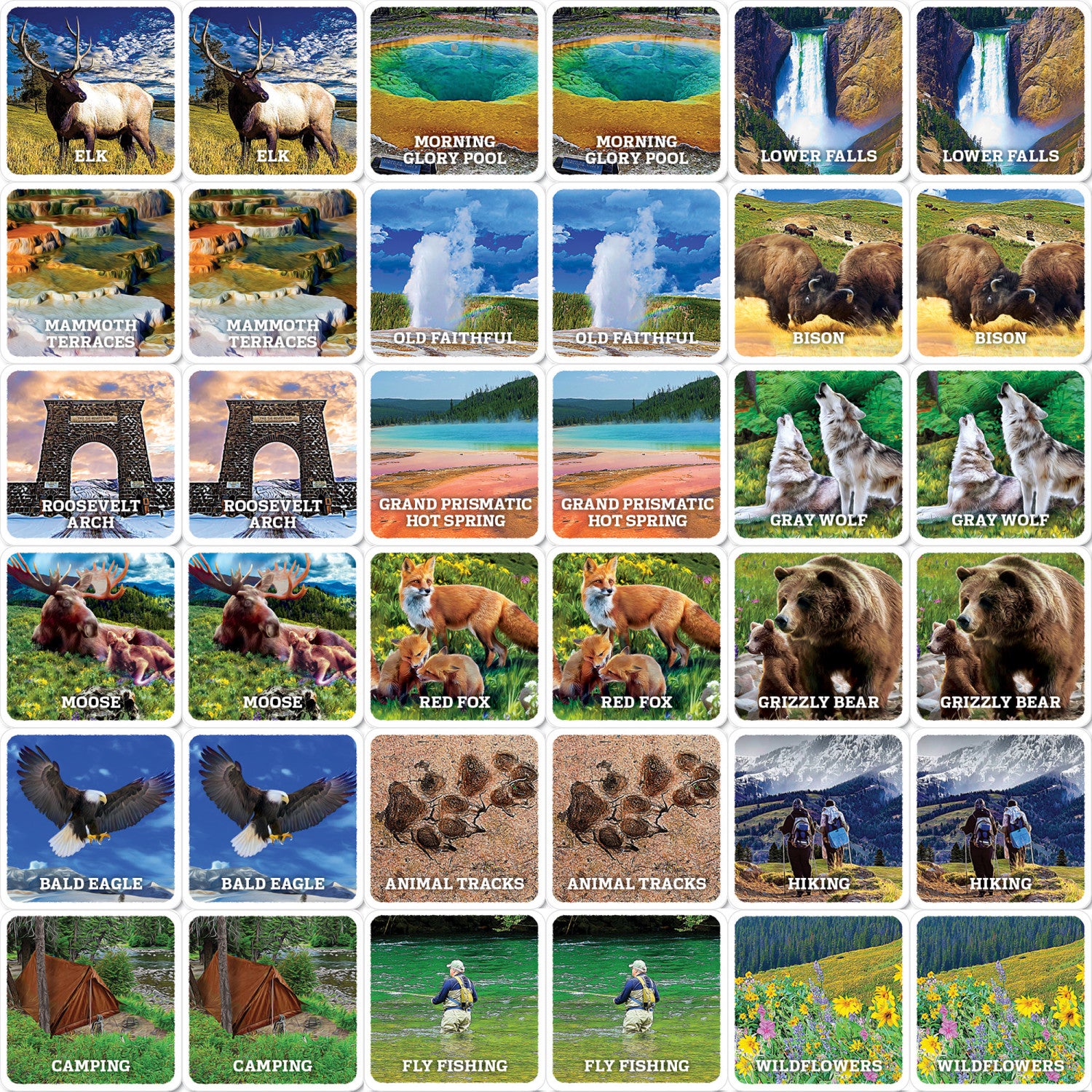 National Parks Jr Ranger - Yellowstone Matching Game
