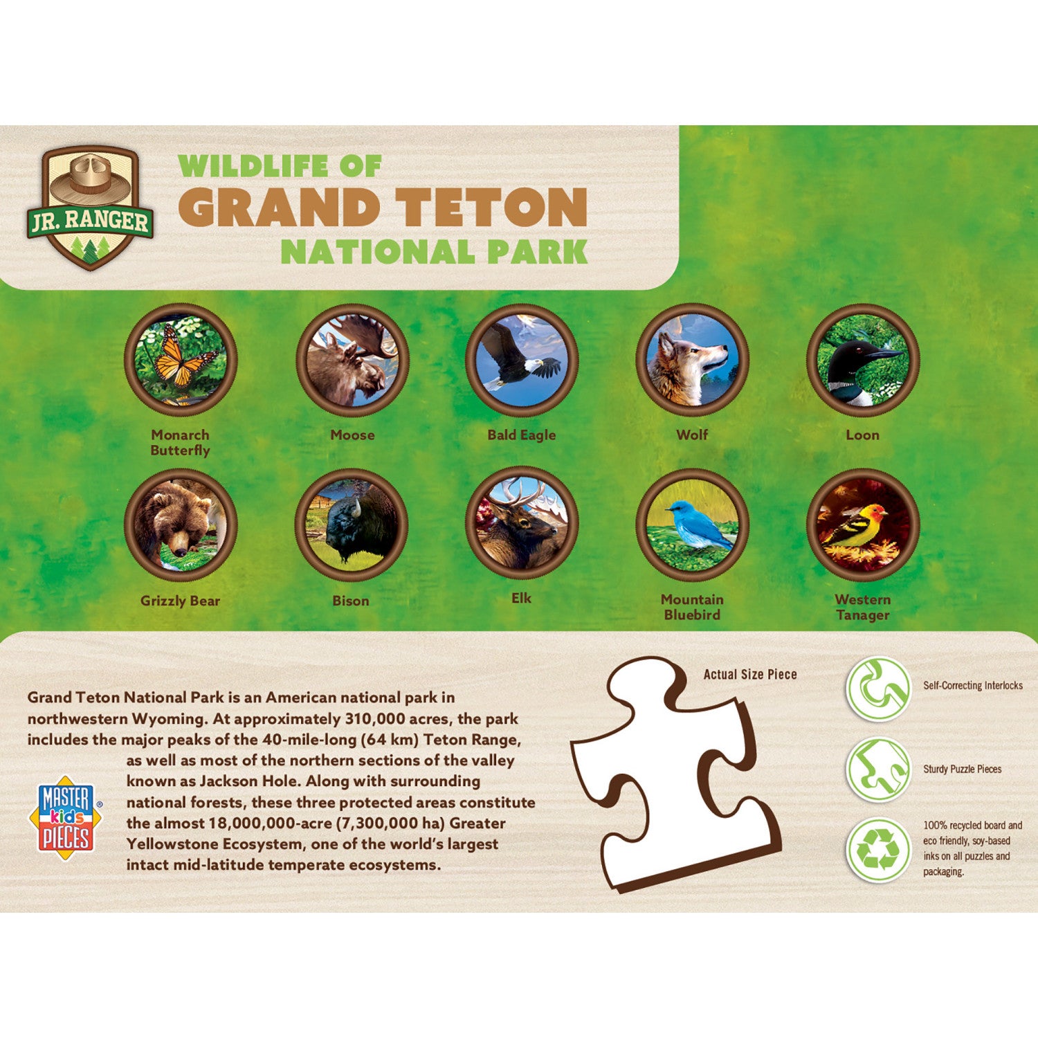 Wildlife of Grand Teton National Park - 100 Piece Jigsaw Puzzle