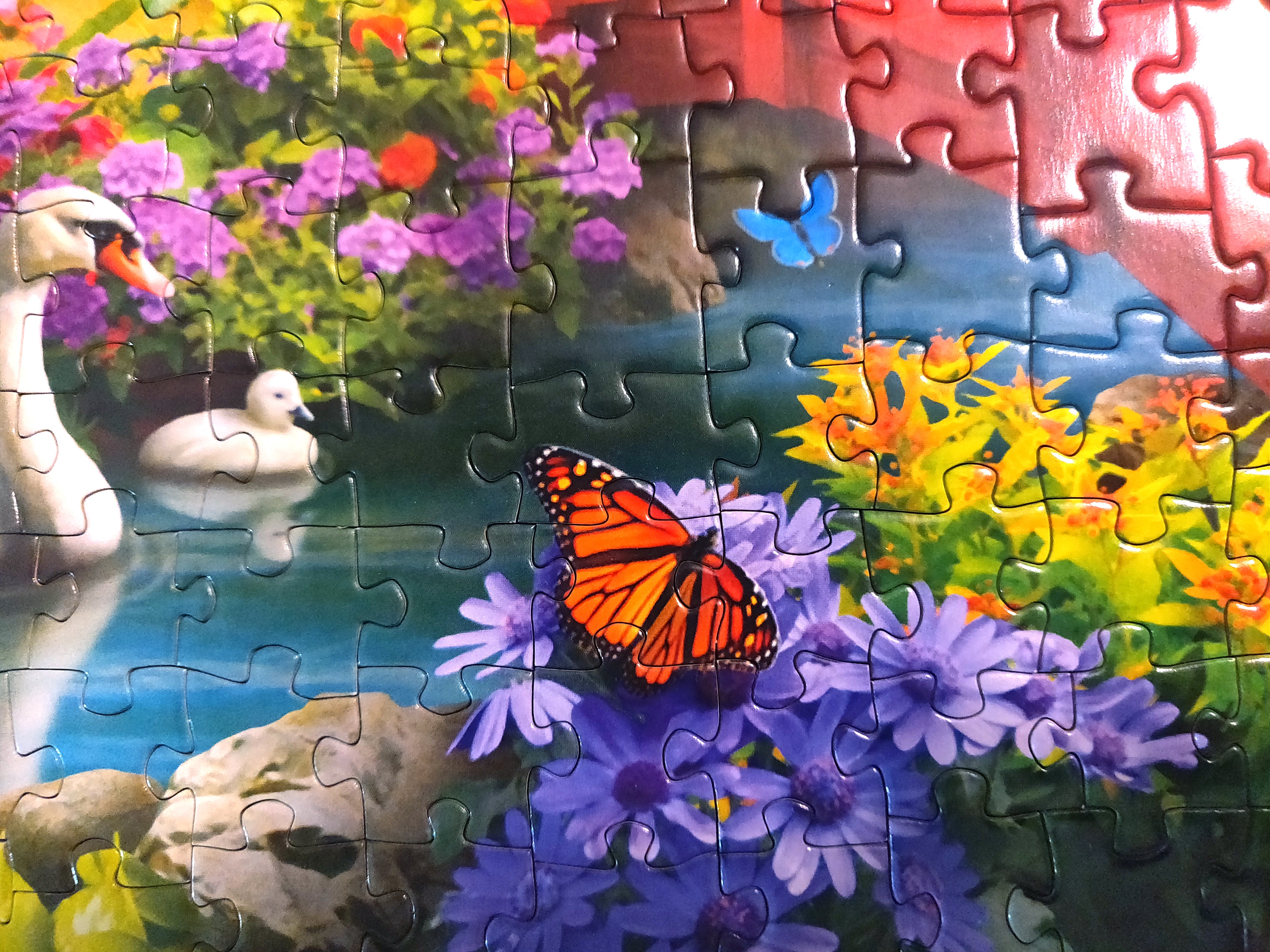 The Surprising Advantages of Puzzle Solving For Adults