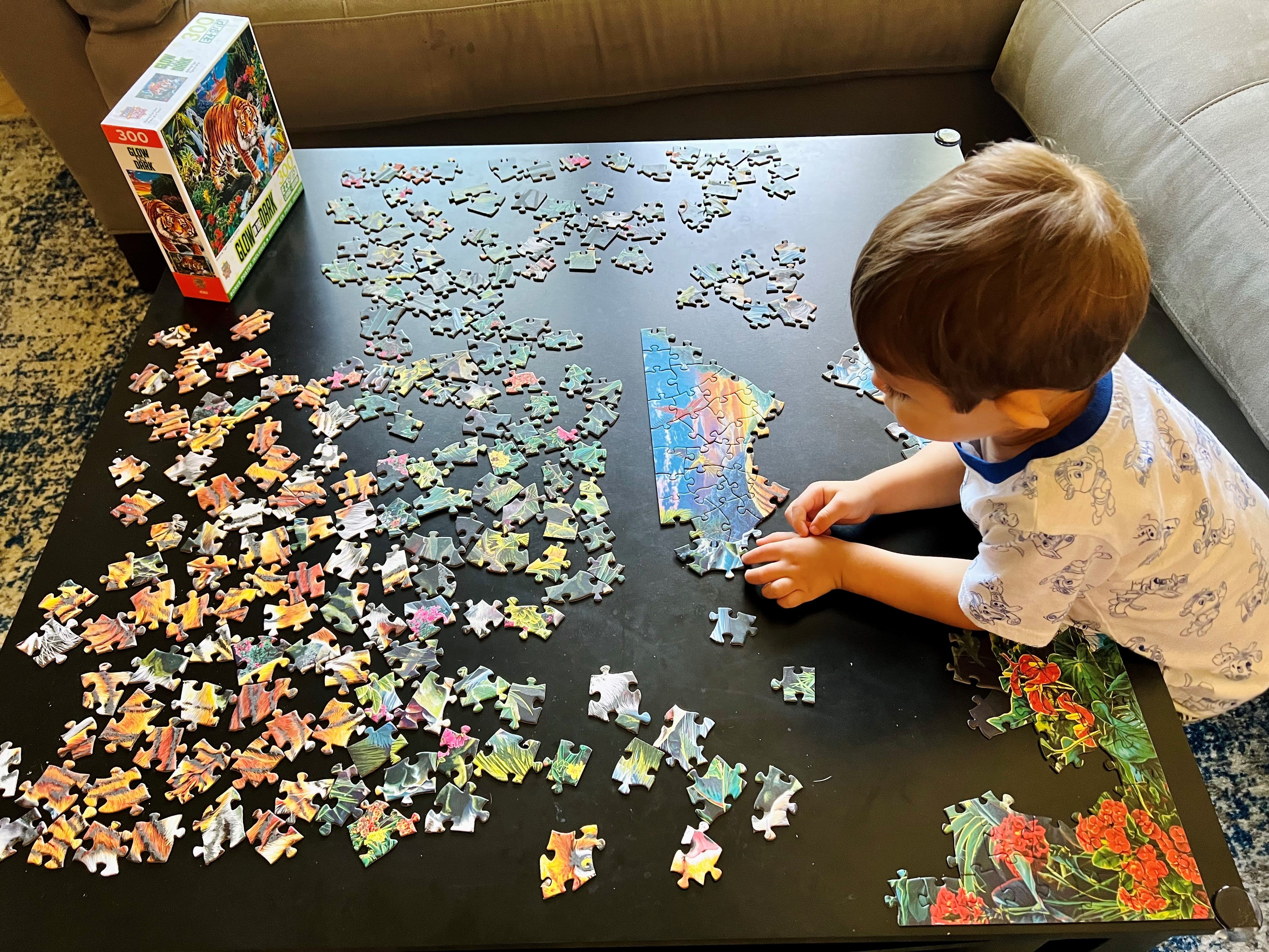5 Reasons Your Child Should be Doing Puzzles