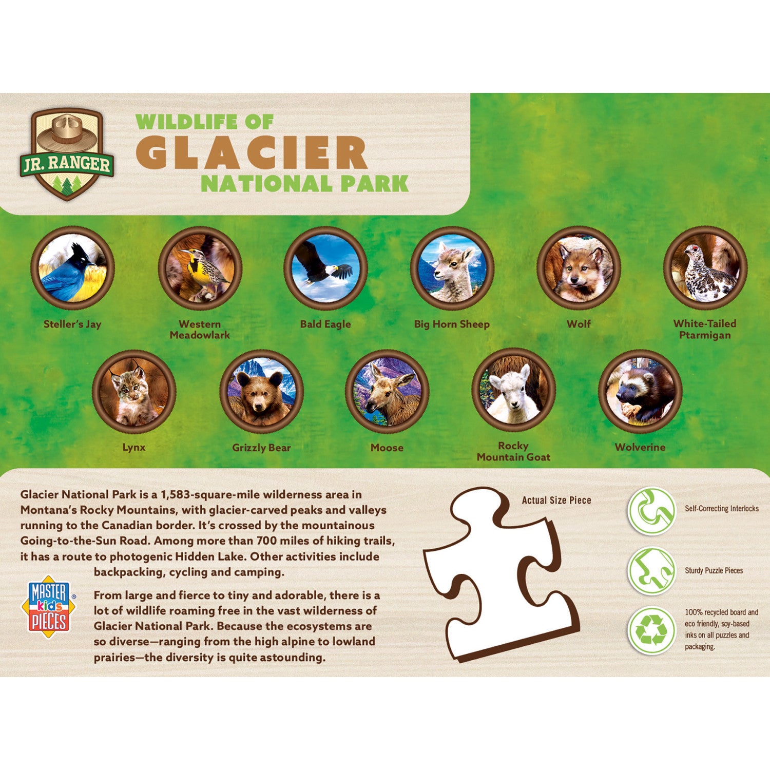 Wildlife of Glacier National Park - 100 Piece Jigsaw Puzzle