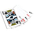 Carolina Panthers Casino Style 300 Piece Poker Set