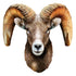 Rocky Mountain Bighorn Sheep 100 Piece Squzzle