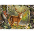 Realtree - Backcountry Buck 1000 Piece Puzzle