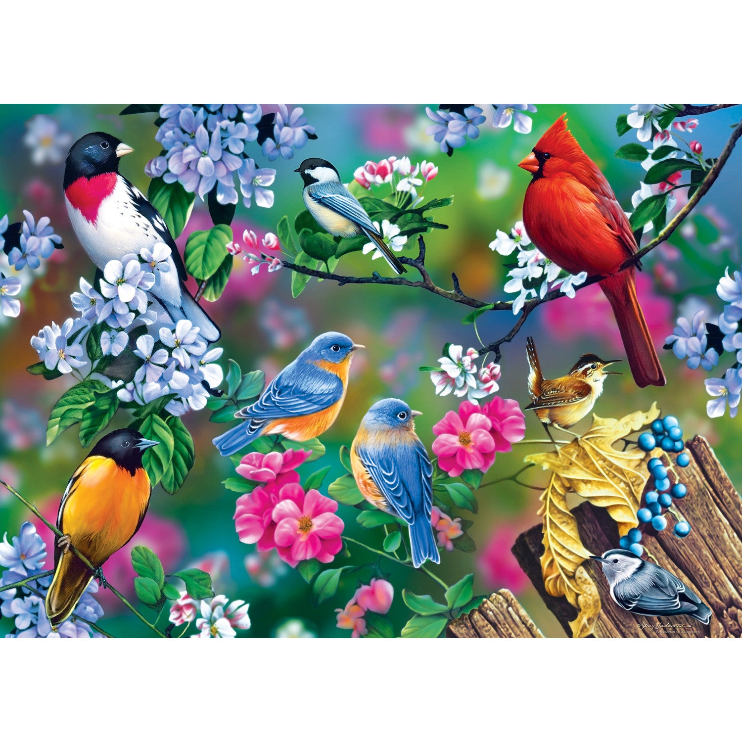 Audubon - Songbird Collage 1000 Piece Puzzle