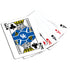 Kentucky Wildcats Casino Style 300 Piece Poker Set