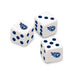 Tennessee Titans Casino Style 300 Piece Poker Set
