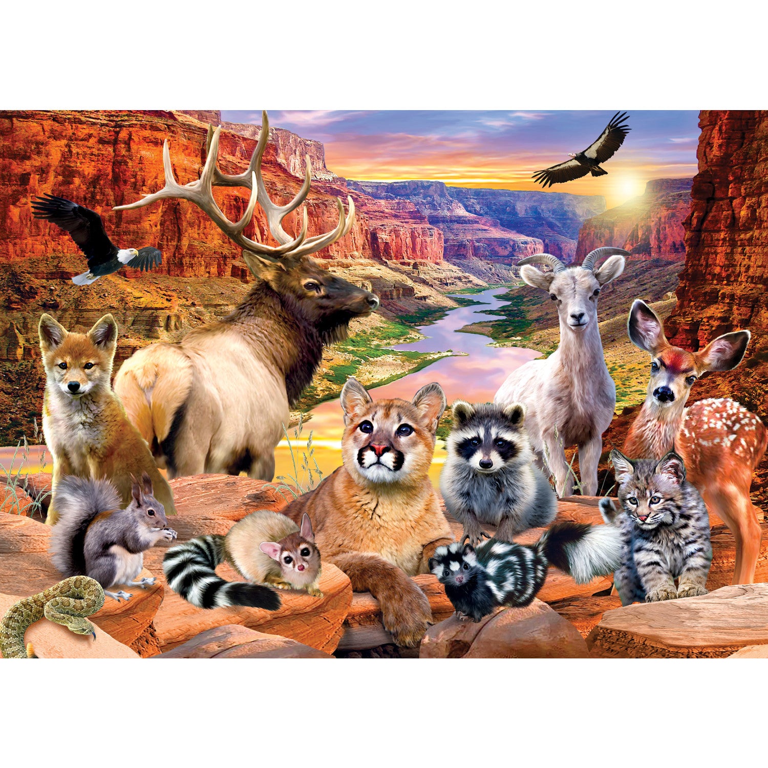National Parks - Grand Canyon 500 Piece Puzzle