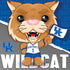 Kentucky Wildcats NCAA Mascot 100 Piece Square Puzzle