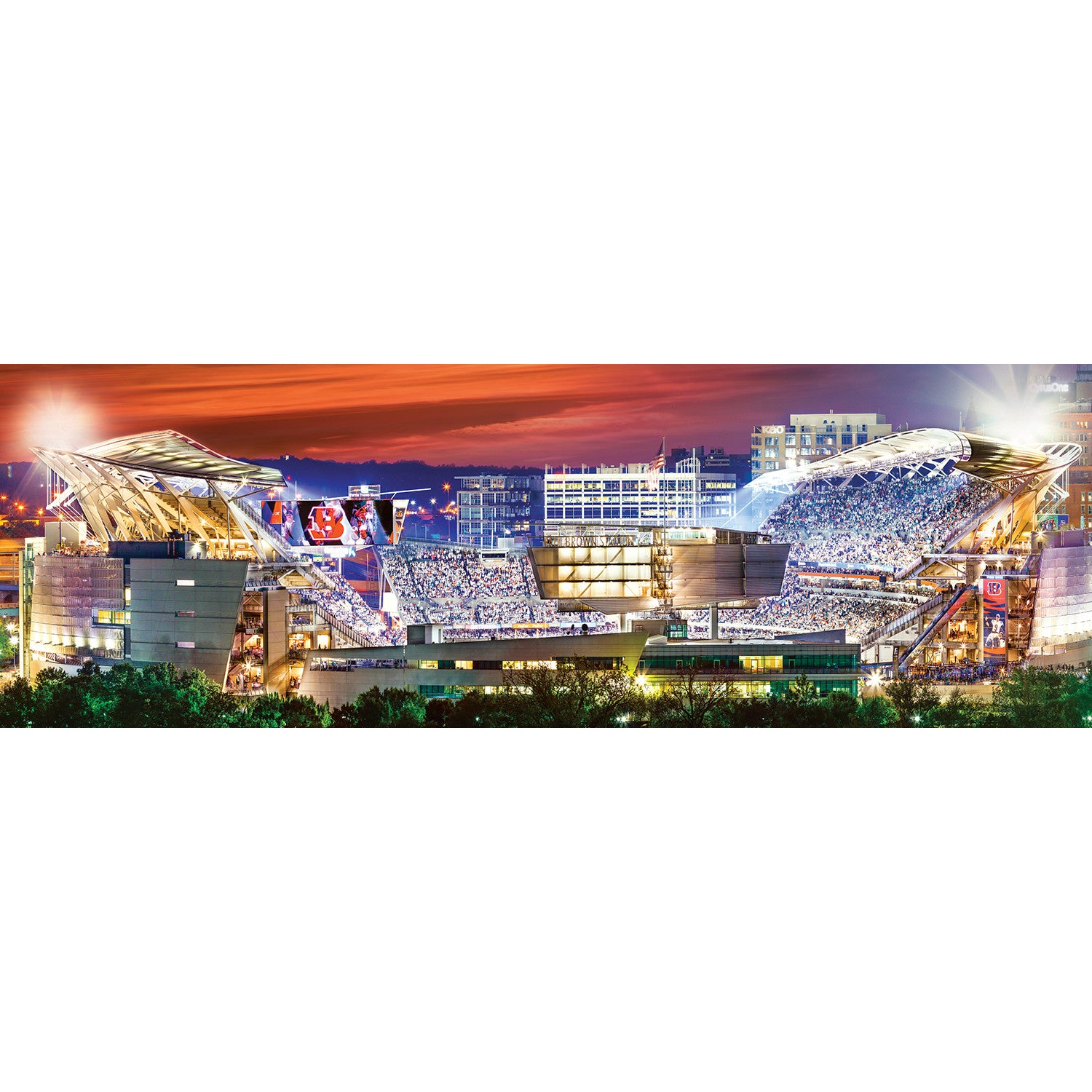 Cincinnati Bengals NFL 1000pc Panoramic Puzzle - Stadium