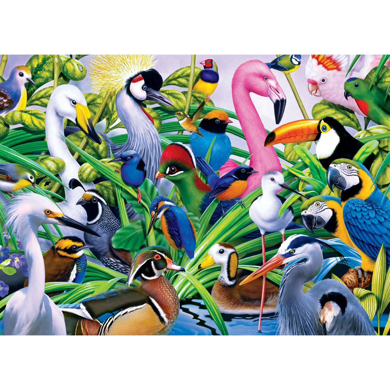 Audubon - Colorful Companions 1000 Piece Puzzle