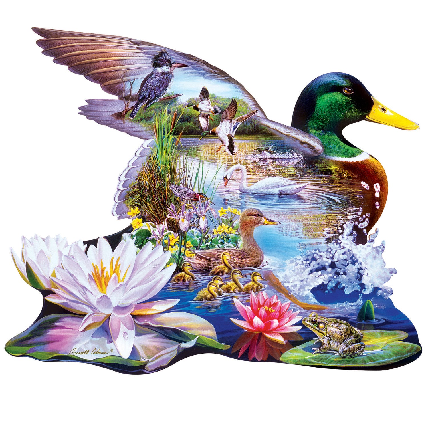 Contours - Woodland Ducks 500 Piece Puzzle
