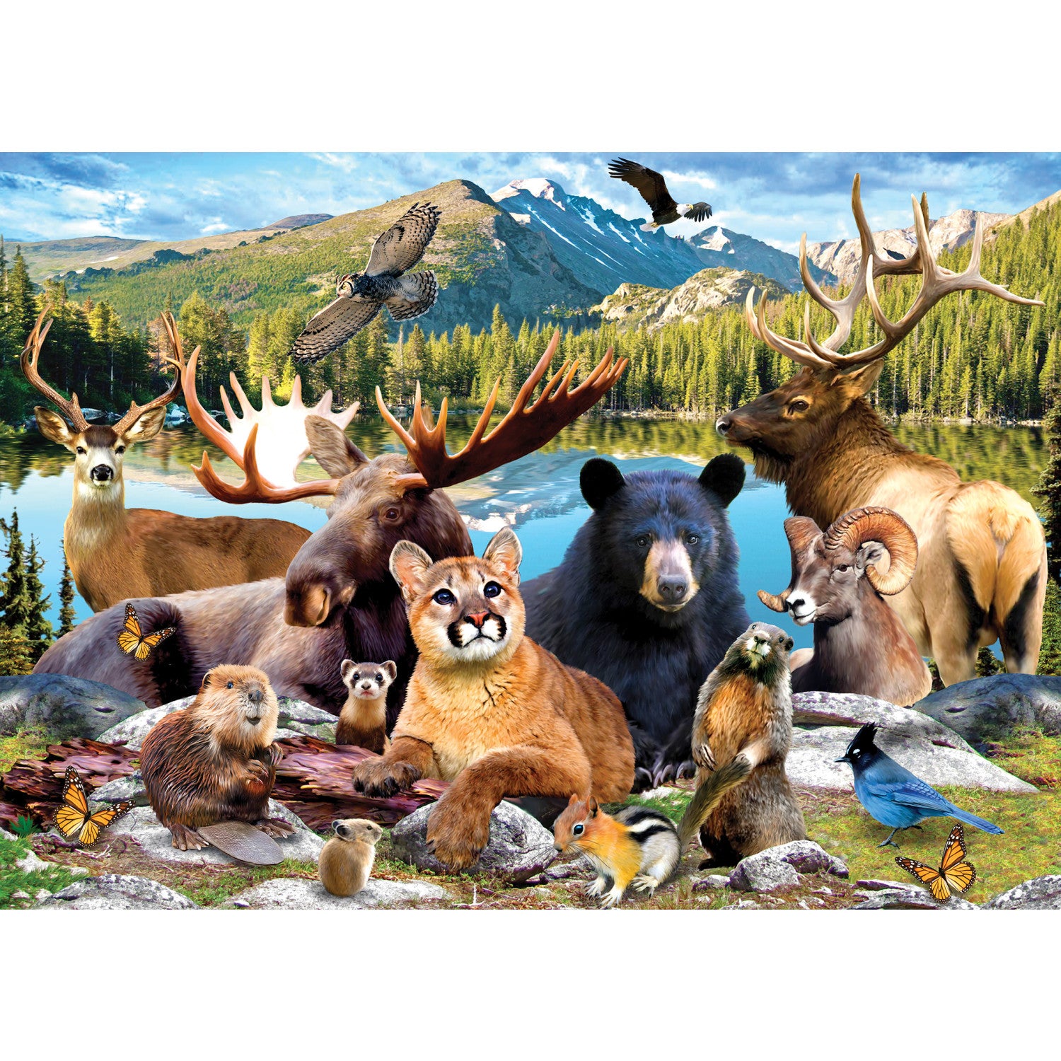 National Parks - Rocky Mountain 500 Piece Puzzle