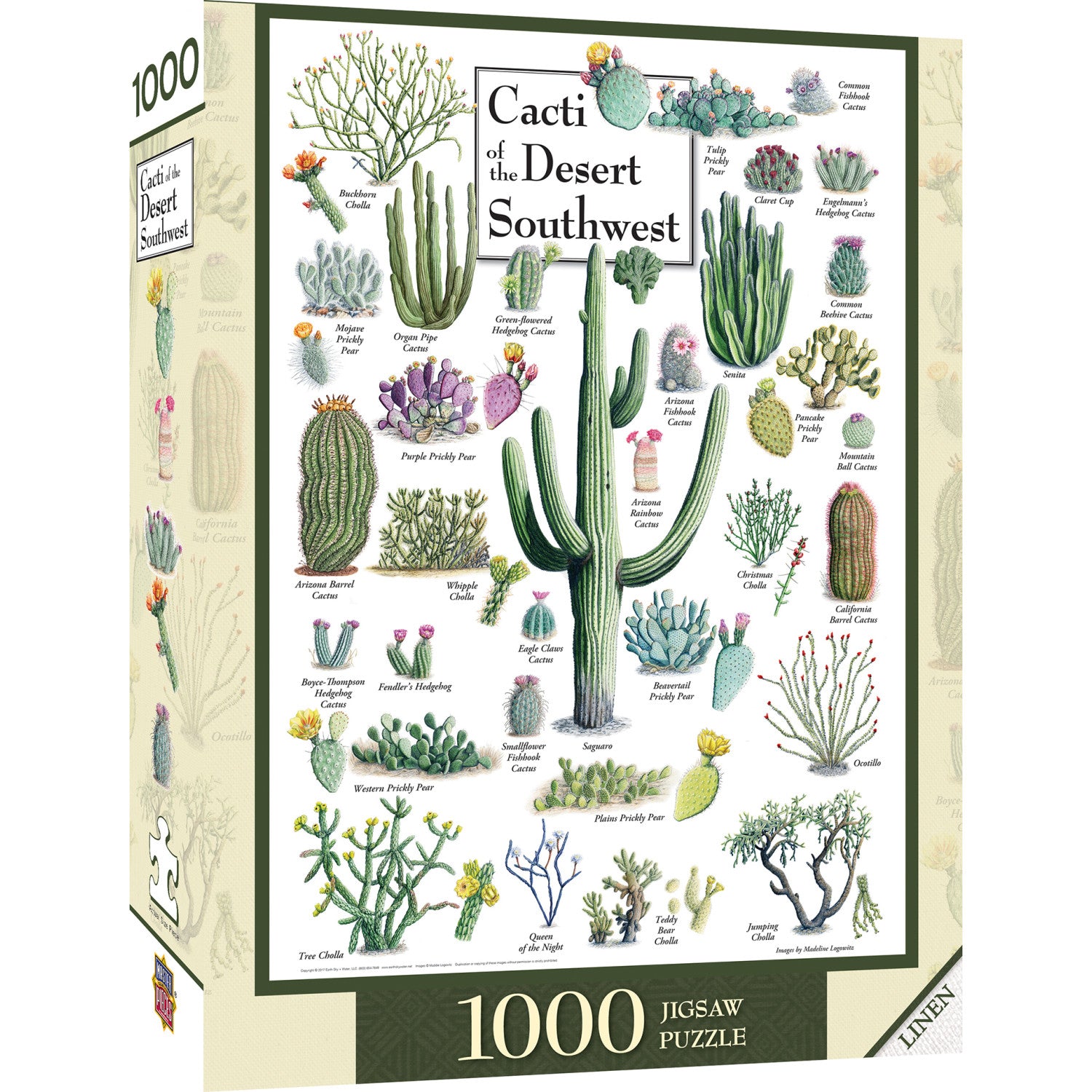 Cacti of the Desert Southwest 1000 Piece Jigsaw Puzzle