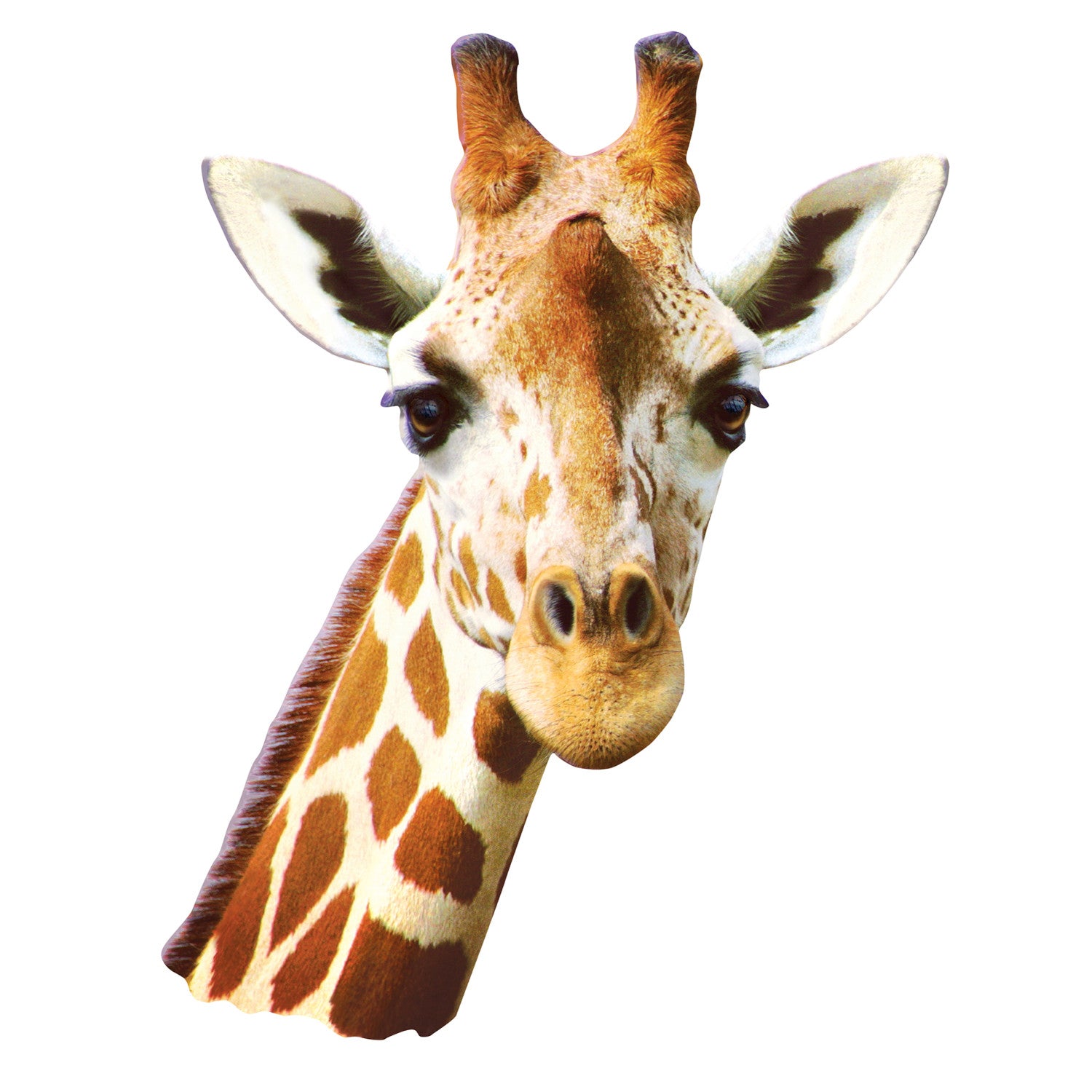 Giraffe 100 Piece Squzzle